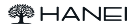 Hanei Solutions logo